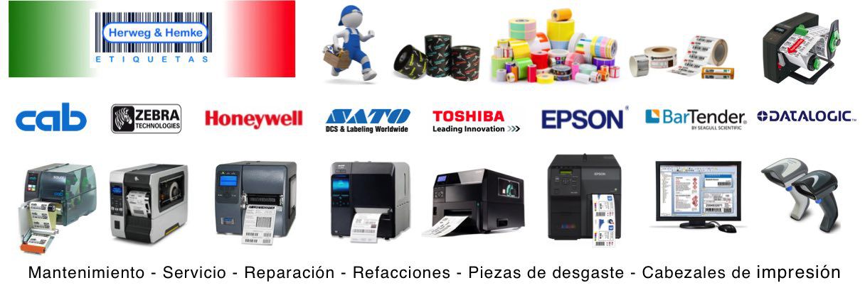 Odoo • A picture with a caption